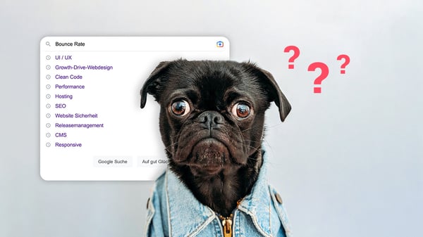 ein Hund sucht in im Internet nach den Begriffen 